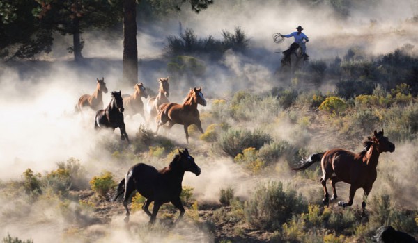 Fotomerchant July 2014 Roundup