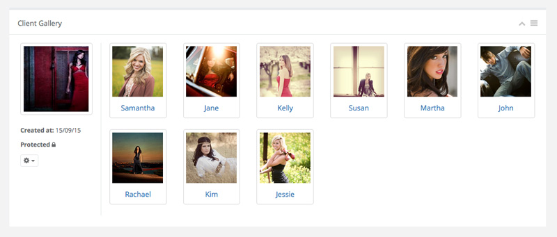 Client Gallery Category